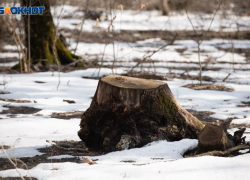 Температурные качели от -4 до +7 градусов ожидаются 21 декабря в Ставропольском крае