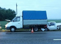 Чинивших грузовик на трассе водителей сбил мужчина на пикапе