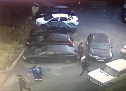 Мертвого мужчину нашли на дереве во дворе Ставрополя