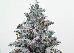 Ураган в Ставрополе сломал новогоднюю ель