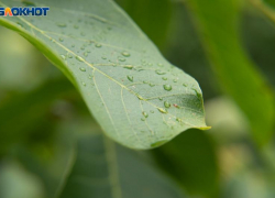 Штормовое предупреждение вновь продлили на Ставрополье