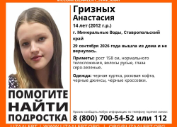 Пропавшую 14-летнюю девочку ищут на Ставрополье