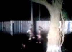 Последствия жестокой расправы над щенками неизвестными живодерами попали на видео на Ставрополье