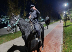 За избиение пенсионеров плеткой всадник из Кисловодска получил срок