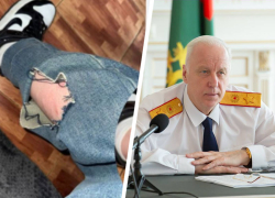 Бастрыкин потребовал отчет по делу о нападении собак на женщину в Пятигорске 