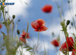 Знойный день и порывистый ветер пообещали ставропольцам 19 августа