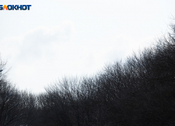 Сильным ветром и температурой до +14 градусов встретит ставропольцев первый выходной ноября 