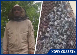 «Почему никого это не волнует?»: пасечник из Ставрополья высказался о системном отравлении пчел химикатами 