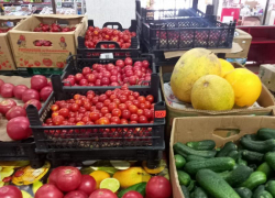 Томатные теплицы под Солнечнодольском задолжали 1,3 миллиона рублей за газ 