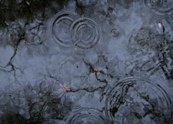 Гроза и град продолжат испытывать на прочность Ставрополье 19 мая