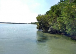 Тело пропавшего 40-летнего мужчины нашли на берегу водохранилища на Ставрополье