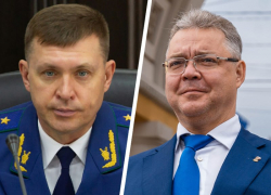 Немкин дал бой: от губернатора потребовали уволить министра энергетики Ставрополья Ковалева за уголовное дело