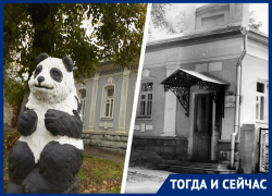 Сначала тут жил революционер, а теперь змеи: как сложилась судьба дома-музея Лопатиных в Ставрополе