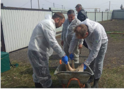 В селе Красногвардейском из-за выявленной чумы свиней начались проверки личных подворий жителей