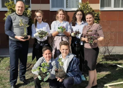 Ставропольские школьники начали выращивать краснокнижные растения