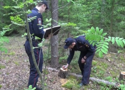 Ставропольских полицейских довели до суда наркотики и жадность