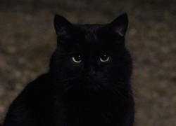 Легкий дождь утром и до +20 днем озадачат ставропольцев 1 апреля