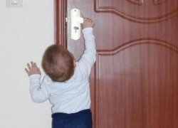 Ставропольские пассовцы спасли ребенка и собаку