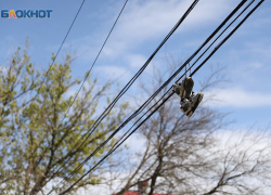 Туман утром и 19 градусов тепла днем пообещали синоптики Ставрополью 8 ноября