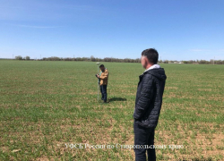 Играл с субсидиями и проиграл: махинации на 3,5 миллиона обеспечили уголовку главе хозяйства на Ставрополье