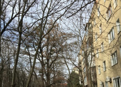 В Ставрополе неизвестные заминировали здание суда