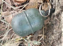 Похожий на гранату предмет нашли на детской площадке в Ставрополе