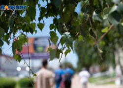 Предпоследняя неделя лета начнется на Ставрополье с жары до +37 градусов