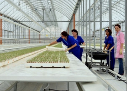 Новый тепличный комплекс на шаг приблизил Ставрополье к первенству по выращиванию овощей в стране