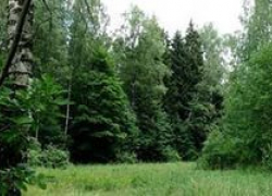 Мужчину из Железноводска искали в лесу два дня