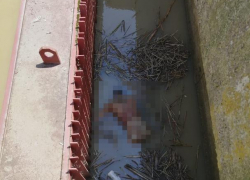 Утонувшего мужчину нашли на гидроэлектростанции в Ставрополе