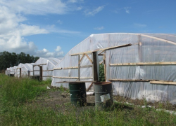 Незаконно построенные теплицы снесли в Ставрополе