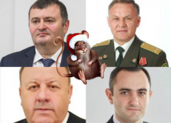 Крысы в ставропольской власти: кто они?