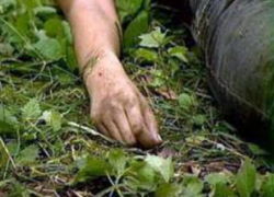 Один мужчина был убит и один ранен в жестокой драке четырех пастухов из-за спора о пастбище на Ставрополье