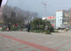 На Ставрополье ветер сорвал крышу МФЦ и повалил елку