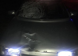 Пешехода в коме увезли в реанимацию после жесткого ДТП под Кисловодском 