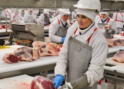 Мясоперерабатывающий комбинат за 3 миллиарда рублей построят в Минводах 