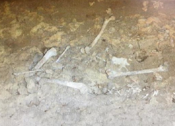 Человеческие останки в собственном водоеме обнаружил житель Ставрополья