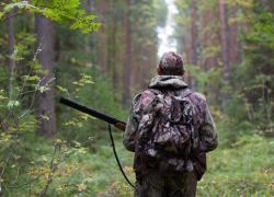 Охотники на Ставрополье промышляли на особо охраняемых территориях с попустительства минприроды
