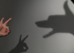 Несколько улиц Ленинского и Октябрьского районов останутся без света с 10 по 14 ноября