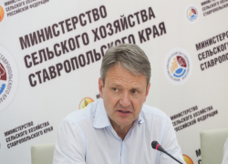  Сенсационное заявление об обрушении российского рынка молока сделал министр сельского хозяйства в Ставрополе