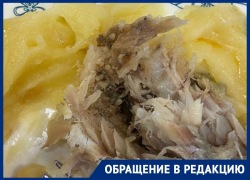 Рыба с личинками в обедах школьников возмутила родителей Ставрополья