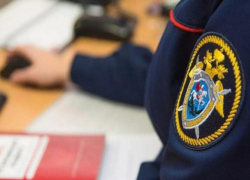 На ставропольских родителей-сектантов, прогнавших детей из дома, завели уголовное дело