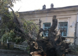 Ураганный ветер вырывает огромные деревья с корнями и сносит крыши в Ставрополе