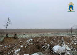 Экс-чиновник из станицы Советской ответит в суде за фиктивное благоустройство и незаконный скотомогильник