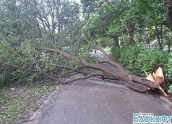 Стихия с сильными порывами ветра добралась и до СКФО
