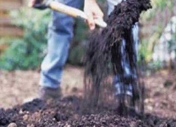 Двое мужчин убили друга и закопали его тело в огороде на Ставрополье 