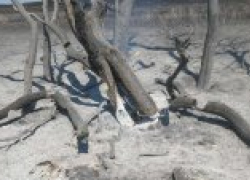 В Буденновском районе загорелась ферма