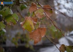 Заморозки в конце октября прогнозируют в Ставропольском крае