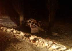 "Лада" врезалась в дерево и загорелась около Ставрополя