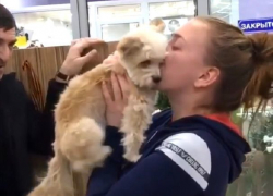 Видео встречи хозяйки с потерявшейся собачкой Тяпой довело до слез жителей Ставрополья